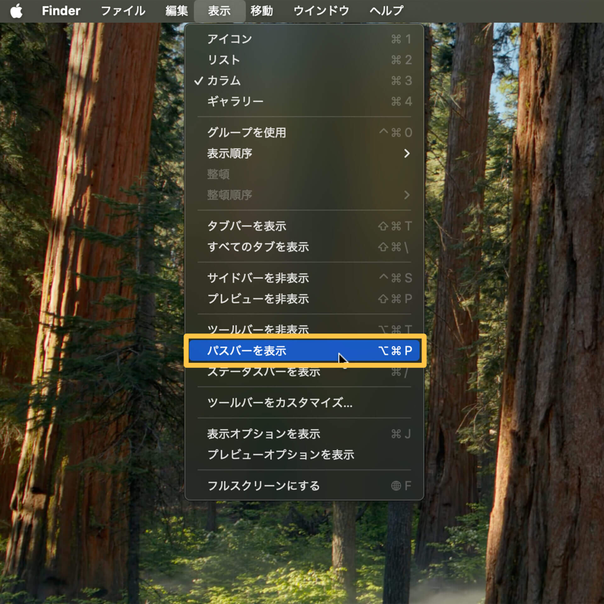 Finder setting 6 2.