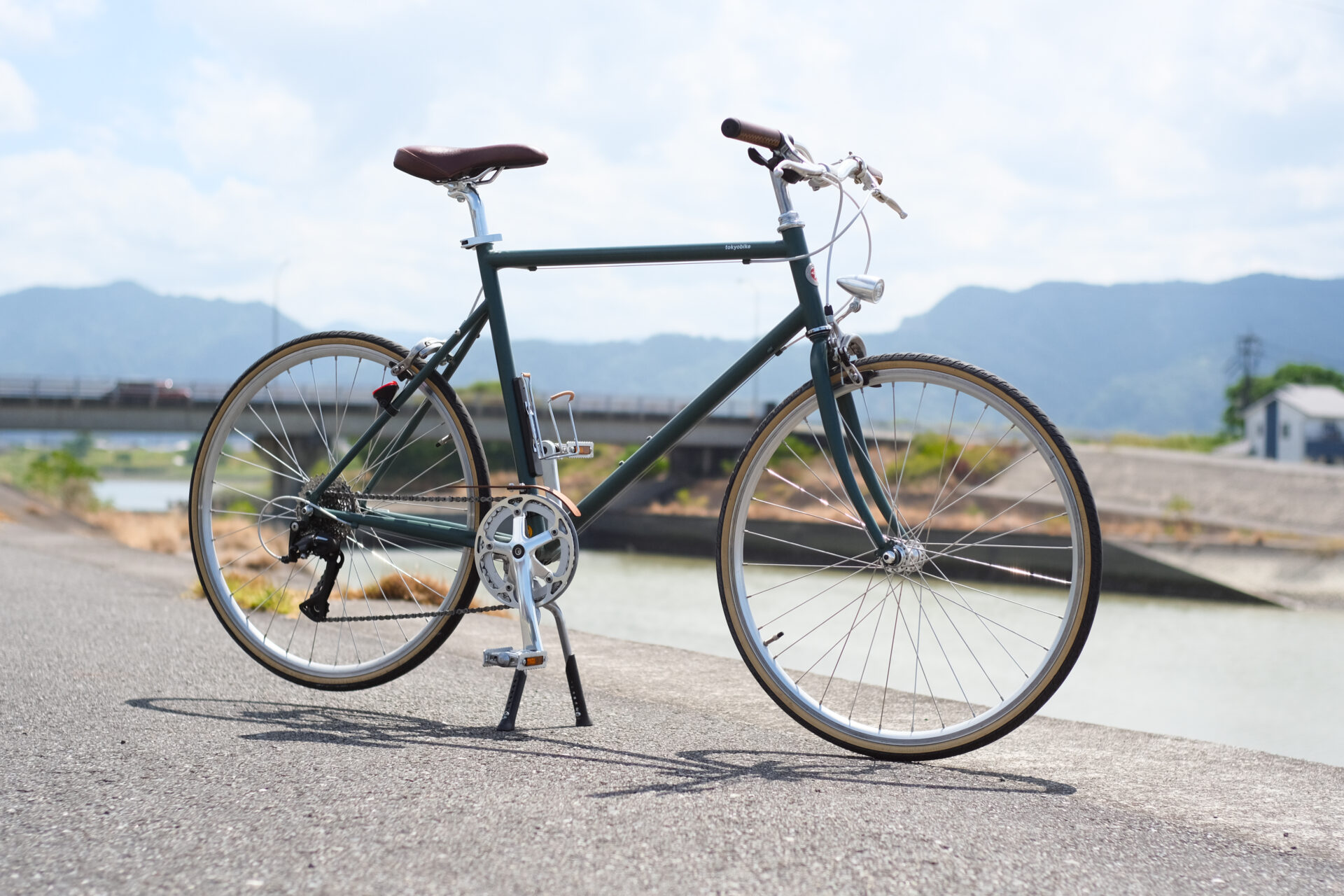Showaind walnut chainguard 14.